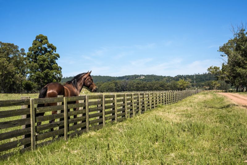 Equine Fence Installation in Sacramento, CA